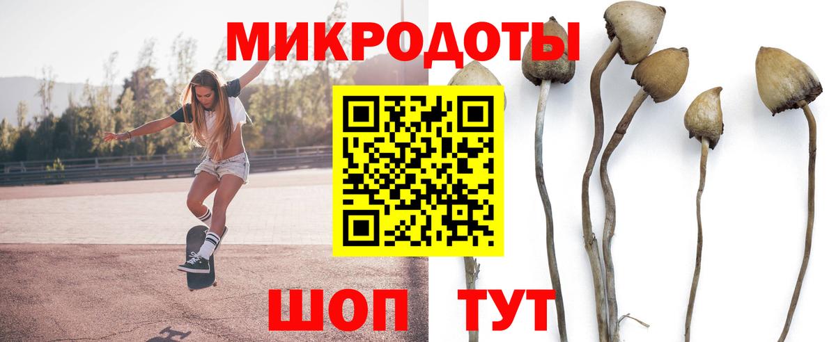 Керчь  Галлюциногенные грибы прущие грибы  Вход с VPN 